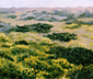 Ocracoke Dunes
